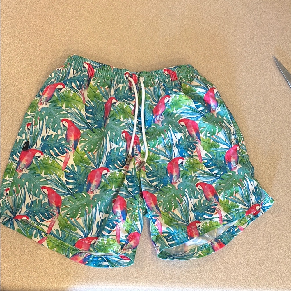 NKS Tropical Parrot Print Swim Shorts